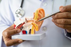 ENT Specialist Dubai