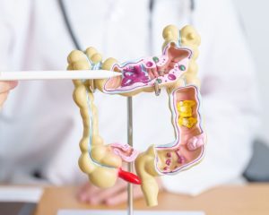 best gastroenterologist in dubai