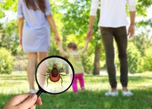 Lyme Disease Treatments in Dubai