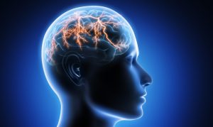 Best Neurosurgeon in Motor City