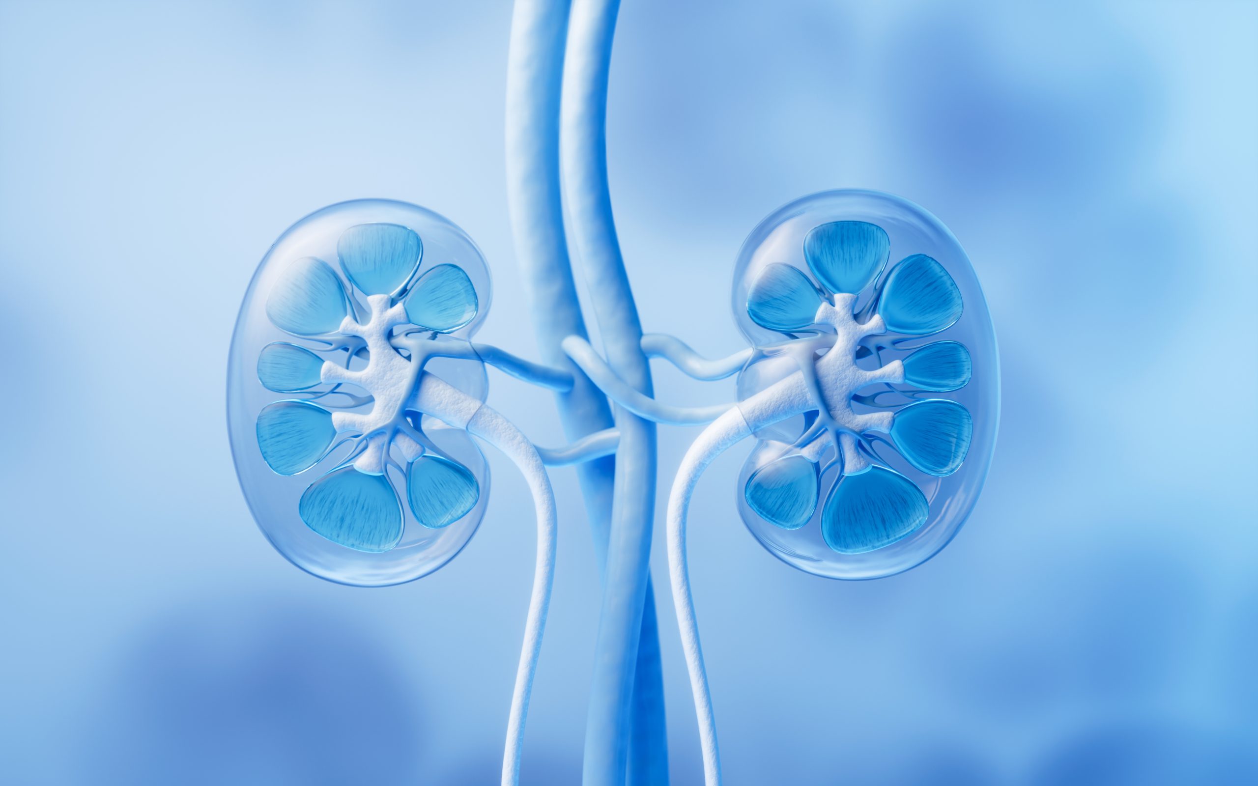 Change to the Normal Flow of Urine – Causes, Diagnosis, and Treatment