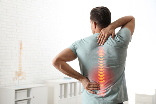 Spine Fusion